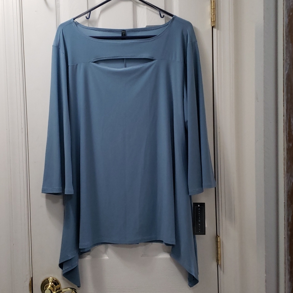 Ashley Blue blue top